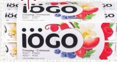 iÖGO Creamy Yogurt