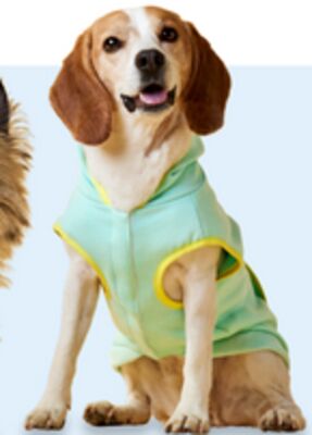 One Paw spring dog sweaters