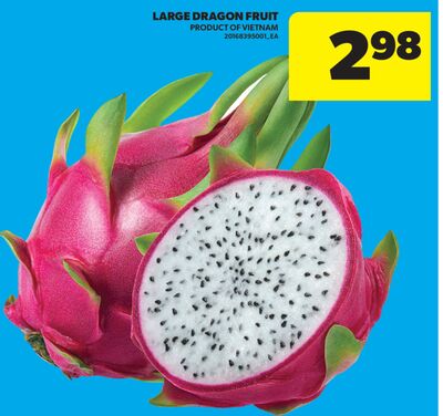 LARGE DRAGON FRUIT