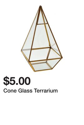 Cone Glass Terrarium