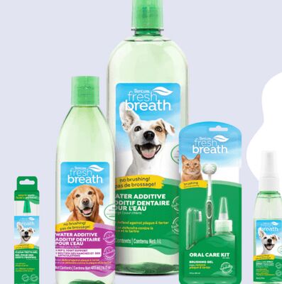 ALL Tropiclean Dental Products