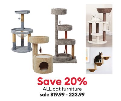 Save 20% ALL cat furniture