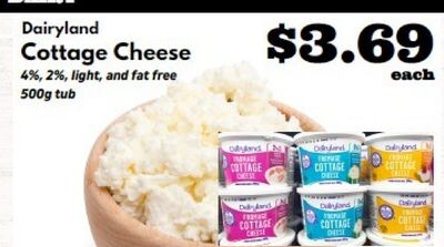Dairyland Cottage Cheese