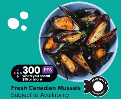 Fresh Canadian Mussels