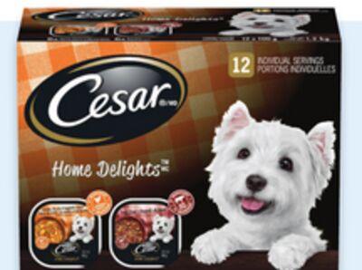 Cesar wet dog food value pack