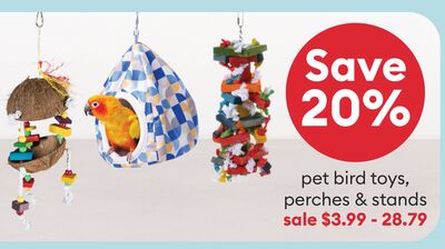 Save 20% pet bird toys, perches & stands