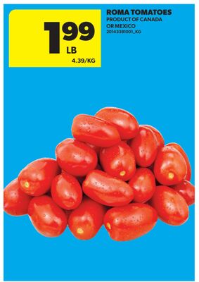 ROMA TOMATOES