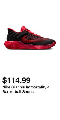 Nike Giannis Immortality 4 Basketball Shoes
