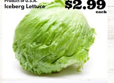 Iceberg Lettuce