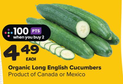 Organic Long English Cucumbers