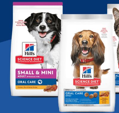 Hill's Science Diet Dry Dog Food