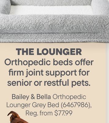 Bailey & Bella Orthopedic Lounger Grey Bed