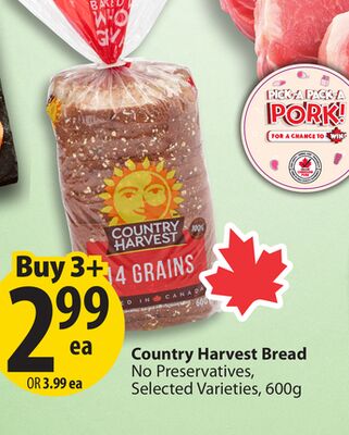 Country Harvest Bread