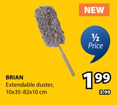 BRIAN Extendable duster