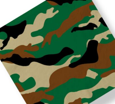 Camo Print Lunch Napkins, 16-pk