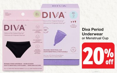 Diva Period Underwear