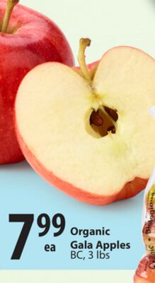 Organic Gala Apples