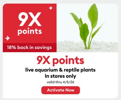 9X points live aquarium & reptile plants