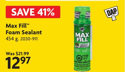Max Fill™ Foam Sealant