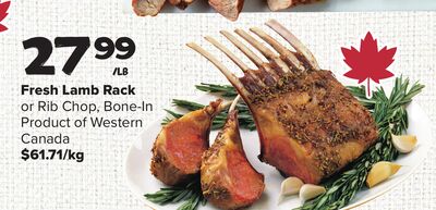 Fresh Lamb Rack