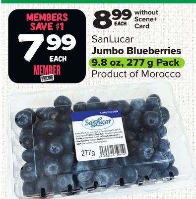 SanLucar Jumbo Blueberries