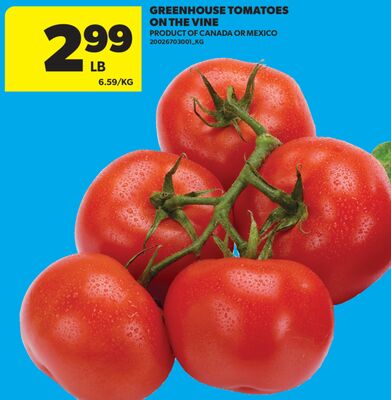 GREENHOUSE TOMATOES ON THE VINE