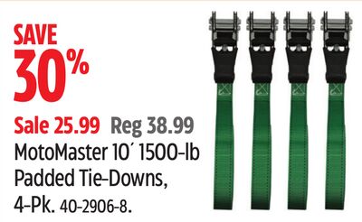 MotoMaster 10´ 1500-lb Padded Tie-Downs, 4-Pk