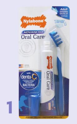 Nylabone Dental Kit