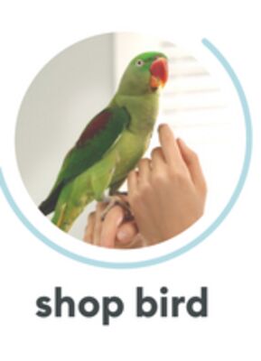 shop bird