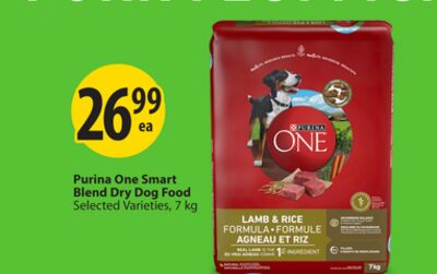 Purina One Smart Blend Dry Dog Food