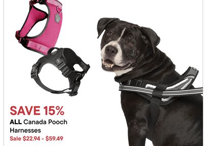 Canada Pooch Harshness