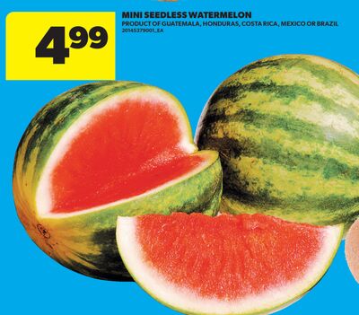 MINI SEEDLESS WATERMELON