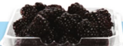 Blackberries