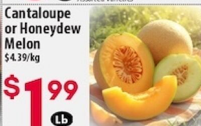 Cantaloupe or Honeydew Melon