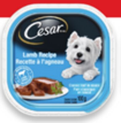 Cesar wet dog food
