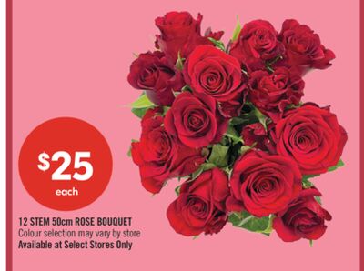 12 STEM 50cm ROSE BOUQUET