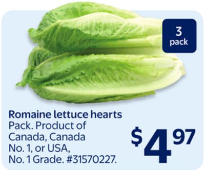 Romaine lettuce hearts