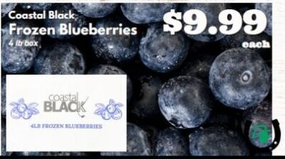 Coastal Black Frozen Blueberries