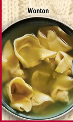 Wonton HEARTY SOUPS