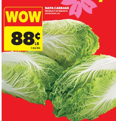 NAPA CABBAGE