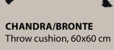 CHANDRA/BRONTE Throw cushion