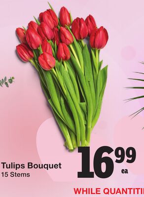 Tulips Bouquet