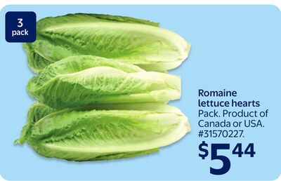 Romaine lettuce hearts