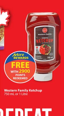 Western Family Ketchup