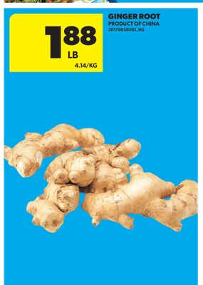 GINGER ROOT
