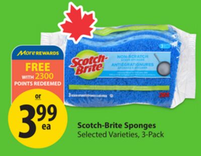 Scotch-Brite Sponges