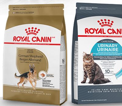 Save $8 Royal Canin® dog (4.5-7.7 kg) and cat (2.4-3.2 kg) food