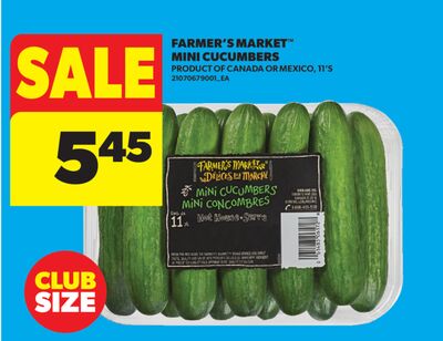 FARMER'S MARKET™ MINI CUCUMBERS, 11' S