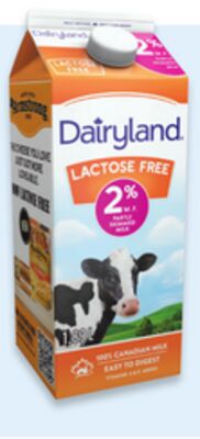 Dairyland 1.89 L lactose free