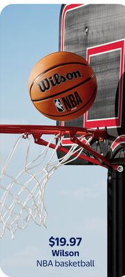 Wilson NBA basketball